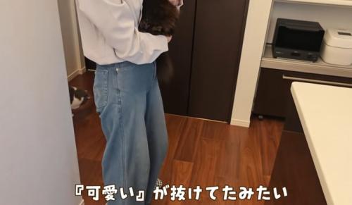 女性に抱っこされている猫