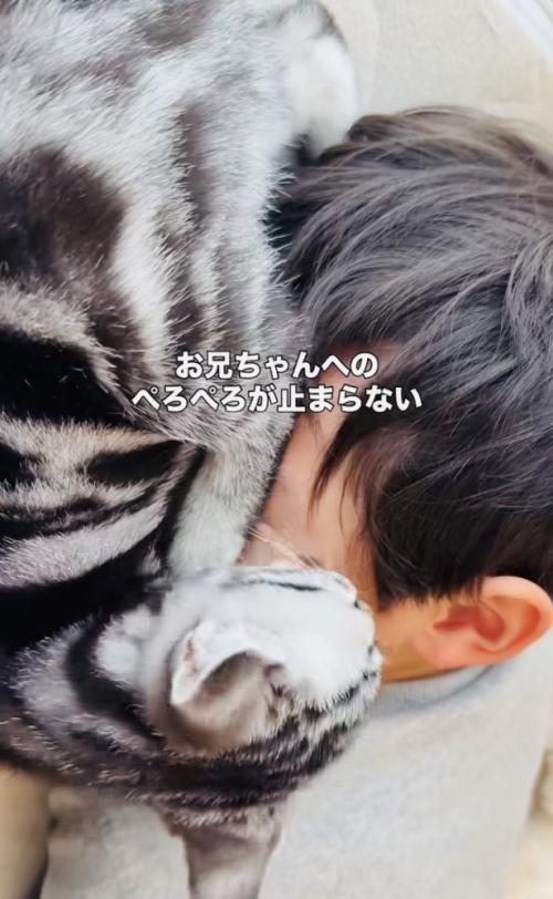お兄ちゃんの顔を舐める子猫