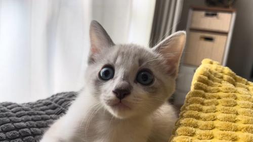 顔のアップ