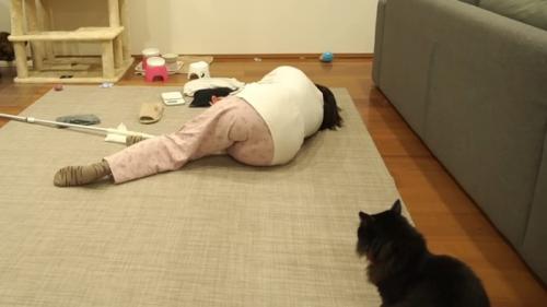 反復横跳び