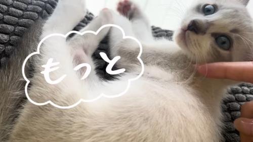 もっと