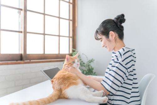 猫をなでる女性
