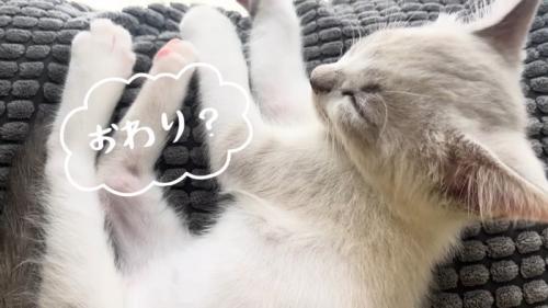 おわり?