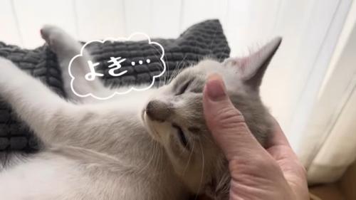 よき…