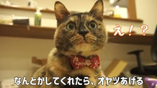 説得を頼まれるたっちゃん