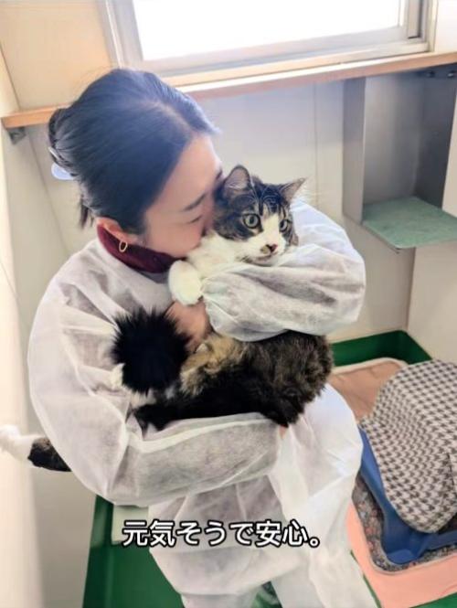 防護服を着ている飼い主に抱っこされている猫