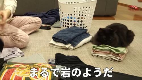 洗濯物にのるみちこちゃん