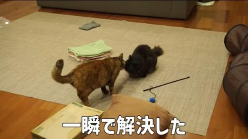 説得成功