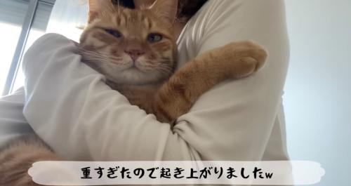 抱っこされる猫