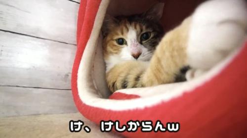 「け、けしからんｗ」のテロップ写真
