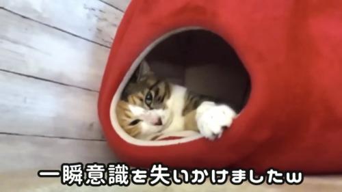「一瞬意識を...」のテロップ写真