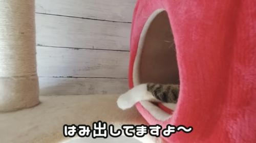 「はみ出してますよ～」のテロップ写真