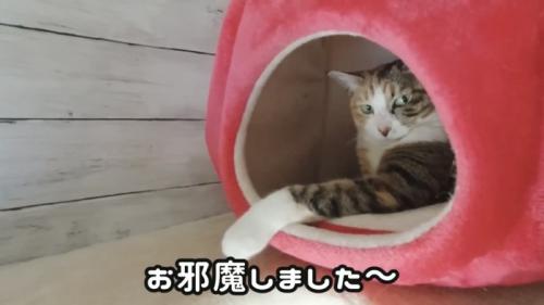 「お邪魔しました～」のテロップ写真
