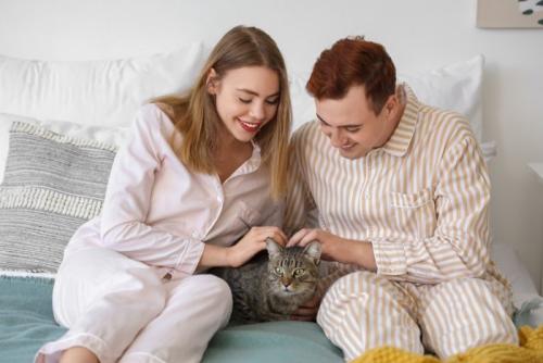 猫を撫でる飼い主夫婦
