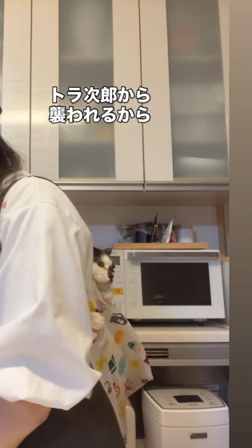ショッピングバッグに収まる牛子ちゃん