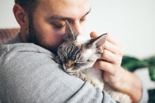男性に抱かれて甘える猫