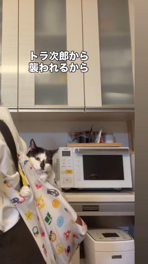 おんぶの全体像