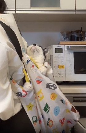 さらに上を向く牛子ちゃん