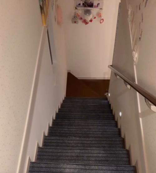 階段下で顔を出す猫