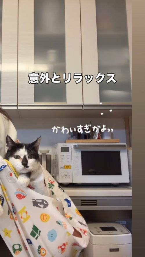 正面をじっと見つめる牛子ちゃん