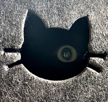 ベッドの小窓の中に片方の目
