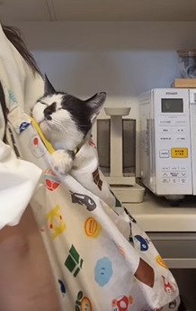 目を閉じる牛子ちゃん