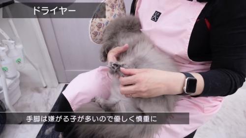 ドライヤー