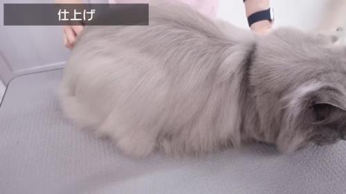 仕上げ
