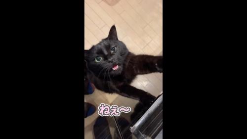 ねぇ〜
