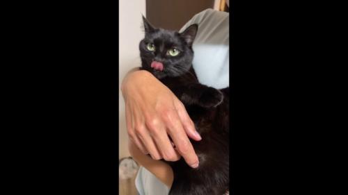 舌をペロリ