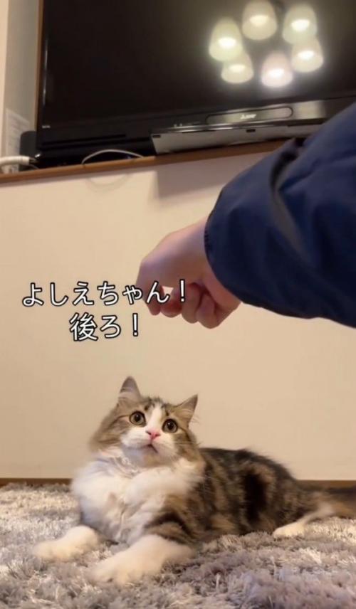「よしえちゃん、後ろ」と書かれた写真2