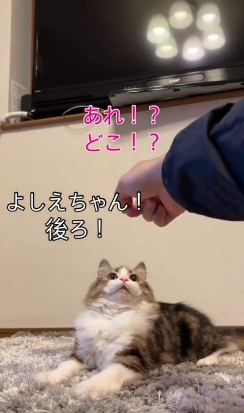 「よしえちゃん、後ろ」と書かれた写真1
