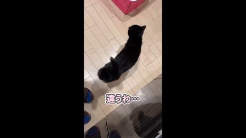 違うわ…