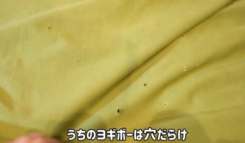 穴だらけのクッション