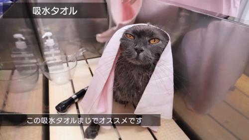 吸水タオル