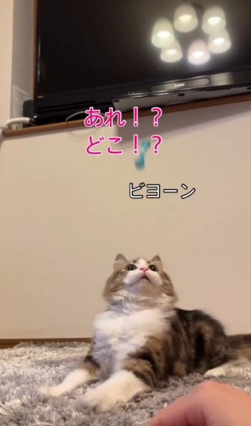 「あれ、どこ？」と書かれた写真