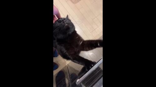 目を瞑ったお顔
