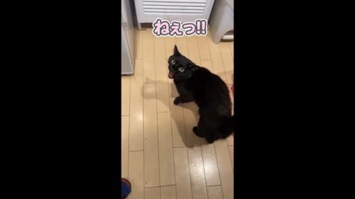 ねぇっ!!