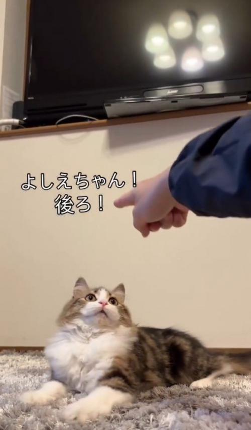 「よしえちゃん、後ろ」と書かれた写真3