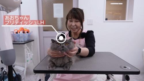 テーブルの上