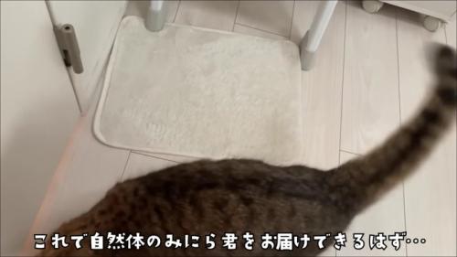ヘッドマウント式スマホ固定スタンドで撮影し、やや画面からはみ出すみにらくん
