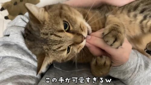 飼い主さんに抱っこされながらおやつを食べるみにらくん