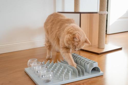 知育玩具で遊ぶ猫