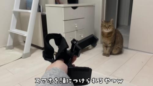 ヘッドマウント式スマホ固定スタンドをみにらくんに見せる飼い主さん