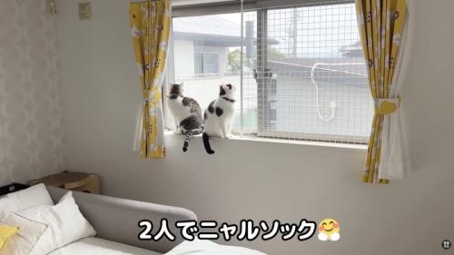 二人でニャルソック