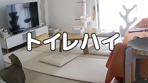 トイレハイ