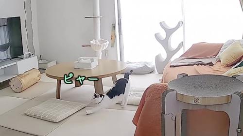ホルンくんが鳴いている