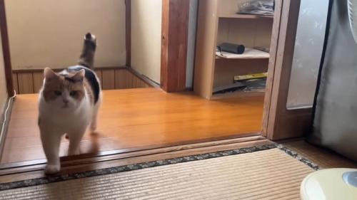 部屋の中へ