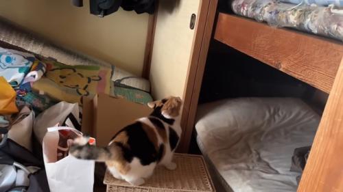 押し入れの前