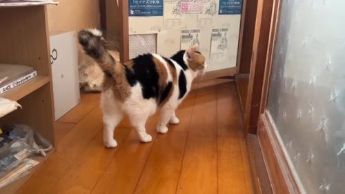 廊下で